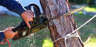 Best Emergency Tree Removal  in Kronenwetter, WI